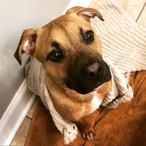 Meet your Posher, Brittaney